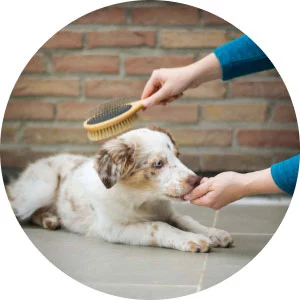diyetmamacim.com